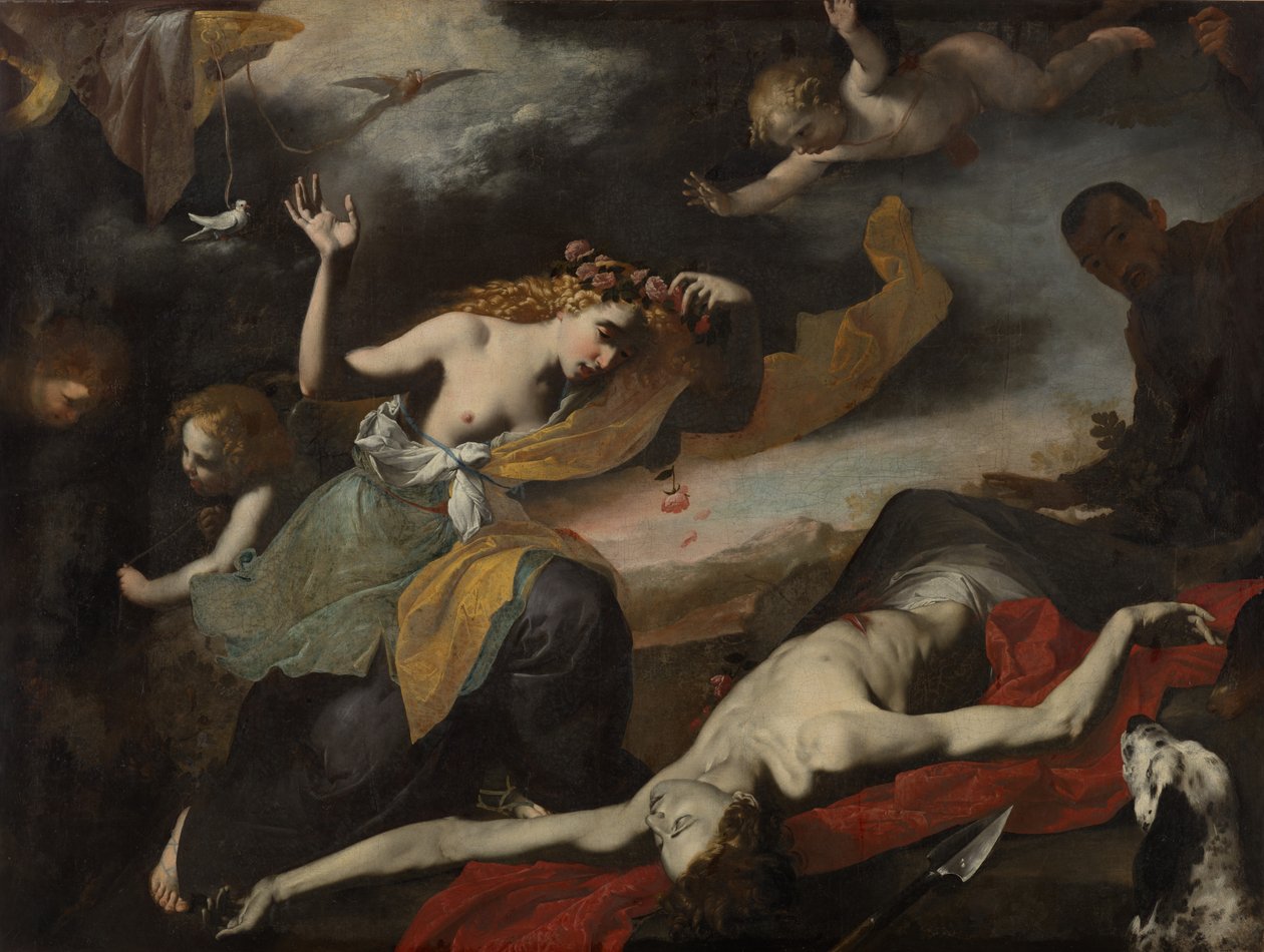 Venus opdager den døde Adonis af Unknown artist
