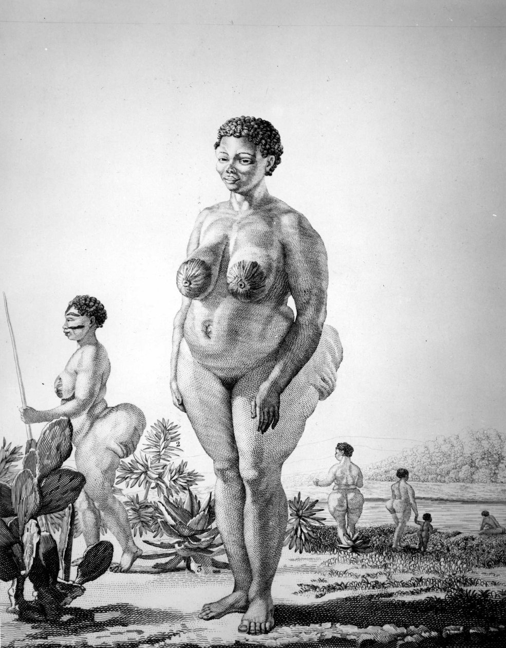 Venus Hottentote i Sydafrika af Unknown artist