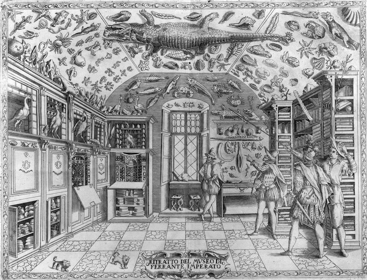 Udsigt over museet (kabinet) af kuriositeter (encyklopædisk museum) af farmaceuten Ferrante Imperato (1550 - 1631). Gravering fra 1678. Museum for den napolitanske apoteker Ferrante Imperato. af Unknown artist