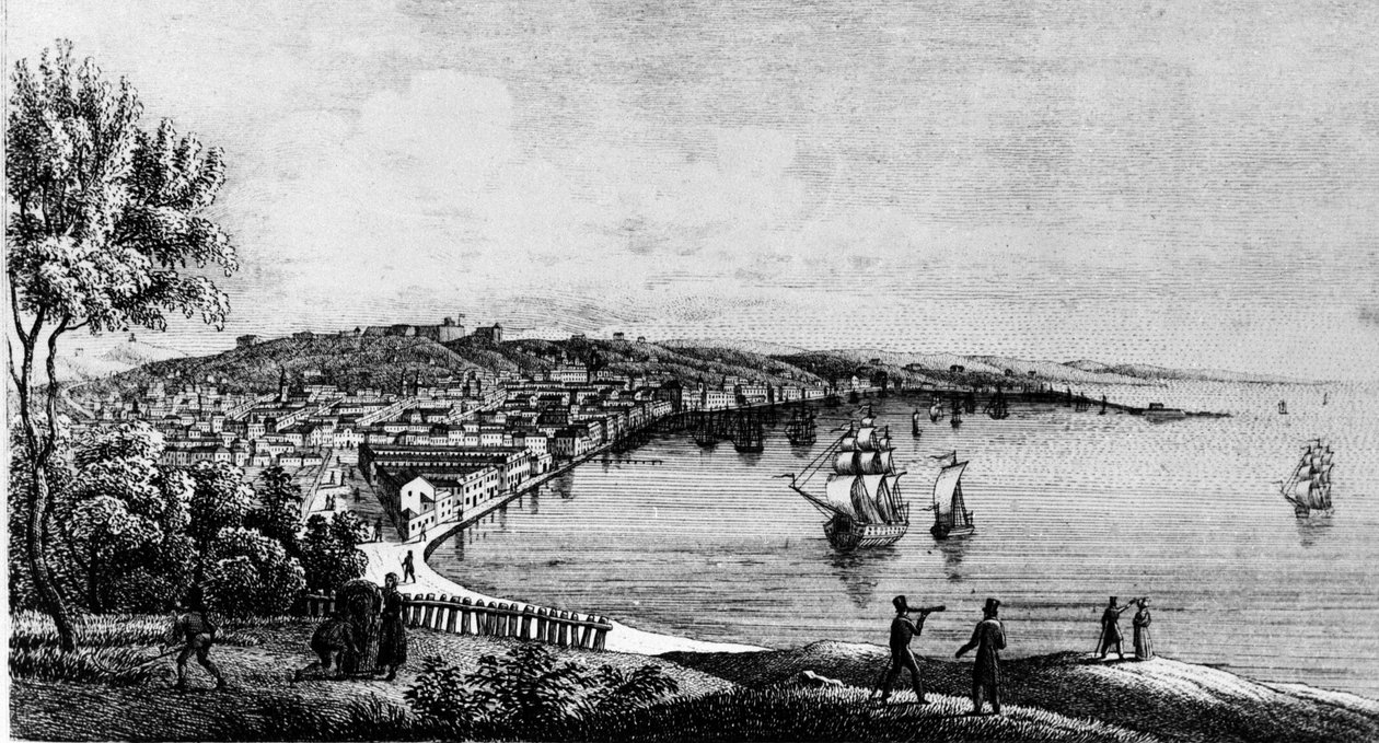 Udsigt over havnen i byen Trieste (i den østrigske periode), gravering af det 19. århundrede. af Unknown artist