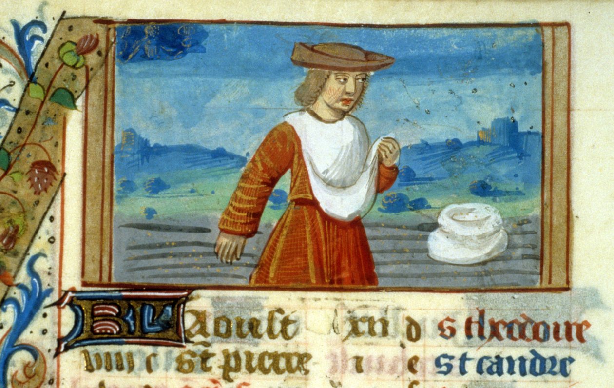 Jomfrusåer og stjernetegn - middelalderens miniature (ref. 137, 049v) - Anmod om tilladelse fra Toulouses kommunale bibliotek (tlf.: 05 62 27 66 66) af Unknown artist