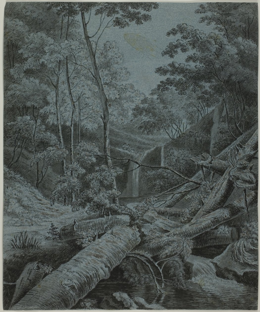 Vandfald og væltede træstammer i skov af Unknown artist