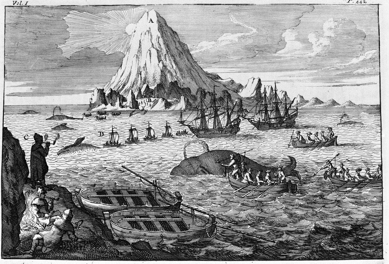Hvalfangst ud for øen Jan Mayen. gravering i begyndelsen af 1700-tallet af Unknown artist