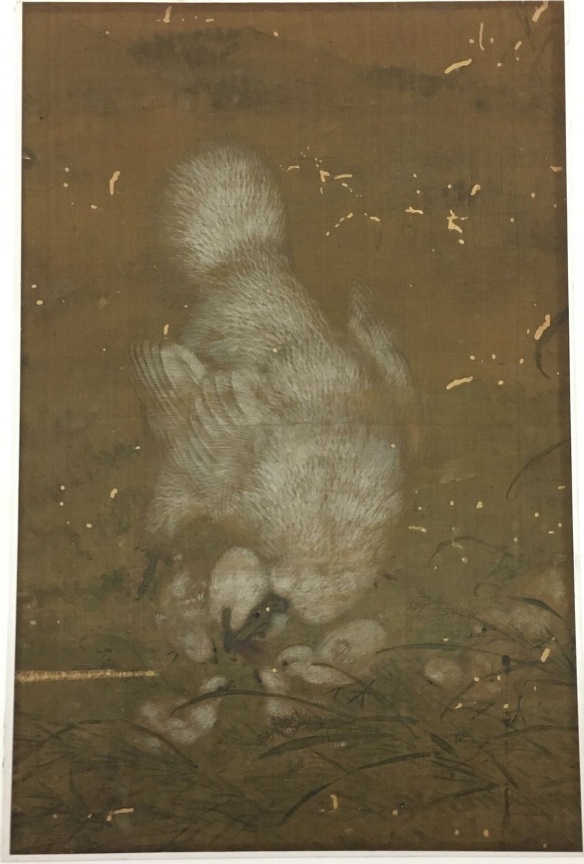 Hvid høne og kyllinger af Unknown artist