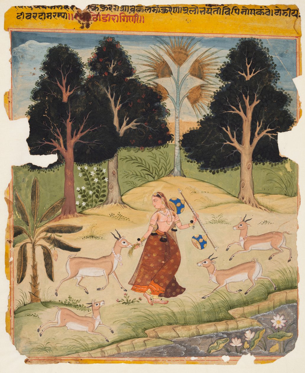 Kvinde fodrer hjorte: Todi Ragini, fra en Ragamala af Unknown artist
