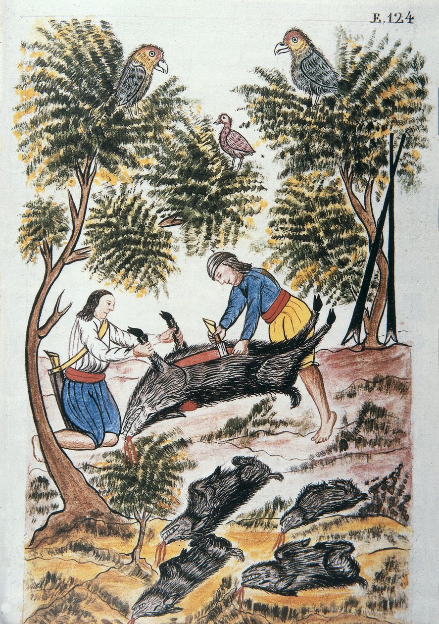 Unge indianere, der slagter et vildsvin, fra bogen "Trujillo del Peru" eller "Códice Martínez Compañón", af Baltazar Martinez Compañón y Bujanda, biskop af Trujillo (1782-1785) af Unknown artist