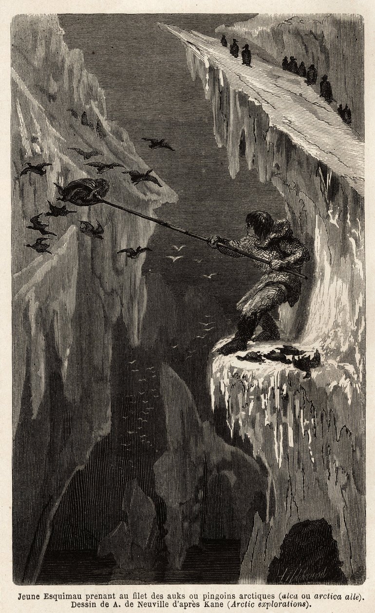Ung eskimau fanger arktiske pingviner. Gravering til illustration af rejsen til det frie hav af den arktiske pol, af Doctor Hayes, kirurg fra den amerikanske flåde, i 1860-1862, udgivet i "Le tour du monde, nouveau journal des voyages", redigeret af Edouar af Unknown artist