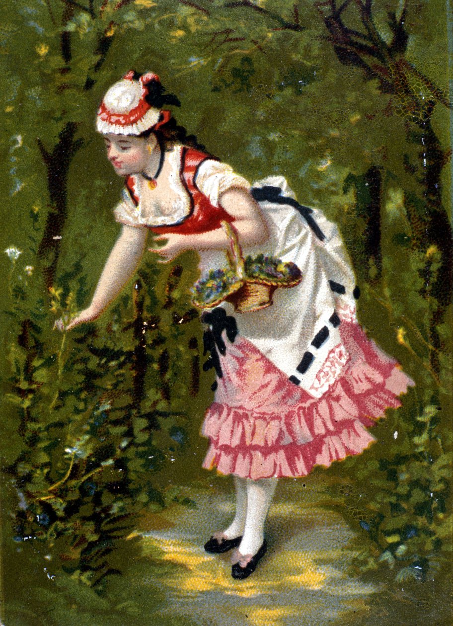 Ung kvinde plukker blomster. Kromolitografi/ af Unknown artist