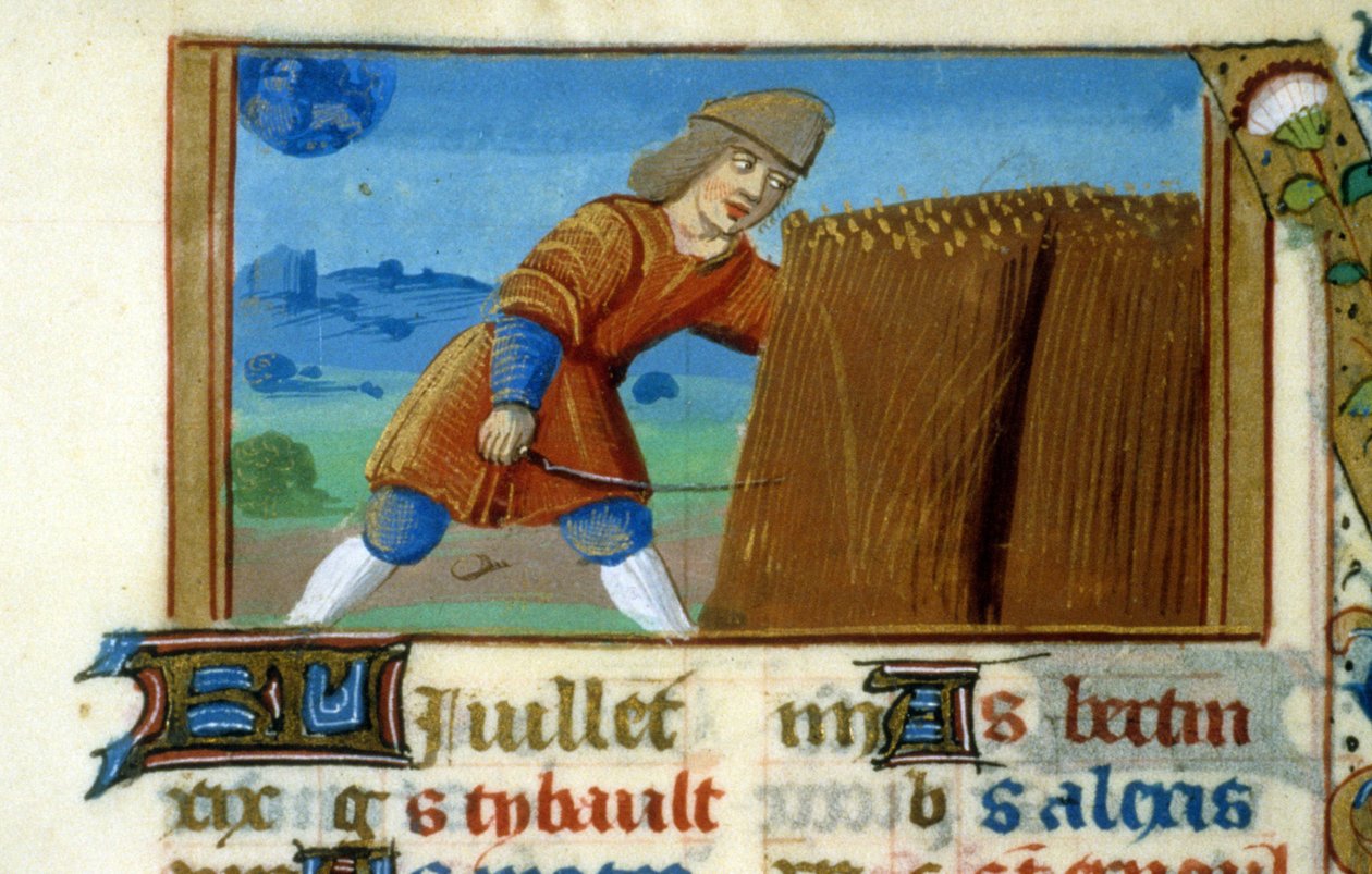 Zodiac Lion and Harvest - Miniature of the Middle Age (ref. 137, 049r): Anmodning om tilladelse fra det kommunale bibliotek i Toulouse (tlf.: 05 62 27 66 66) af Unknown artist