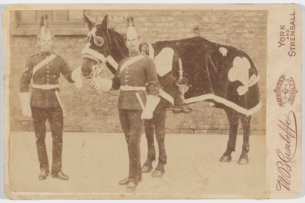 A horse of the 3rddani af Unknown photographer