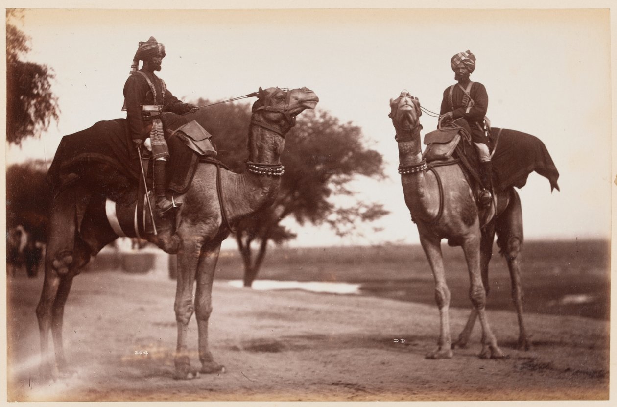 Camel Sowars på Delhi Camp of Exercise af Unknown photographer