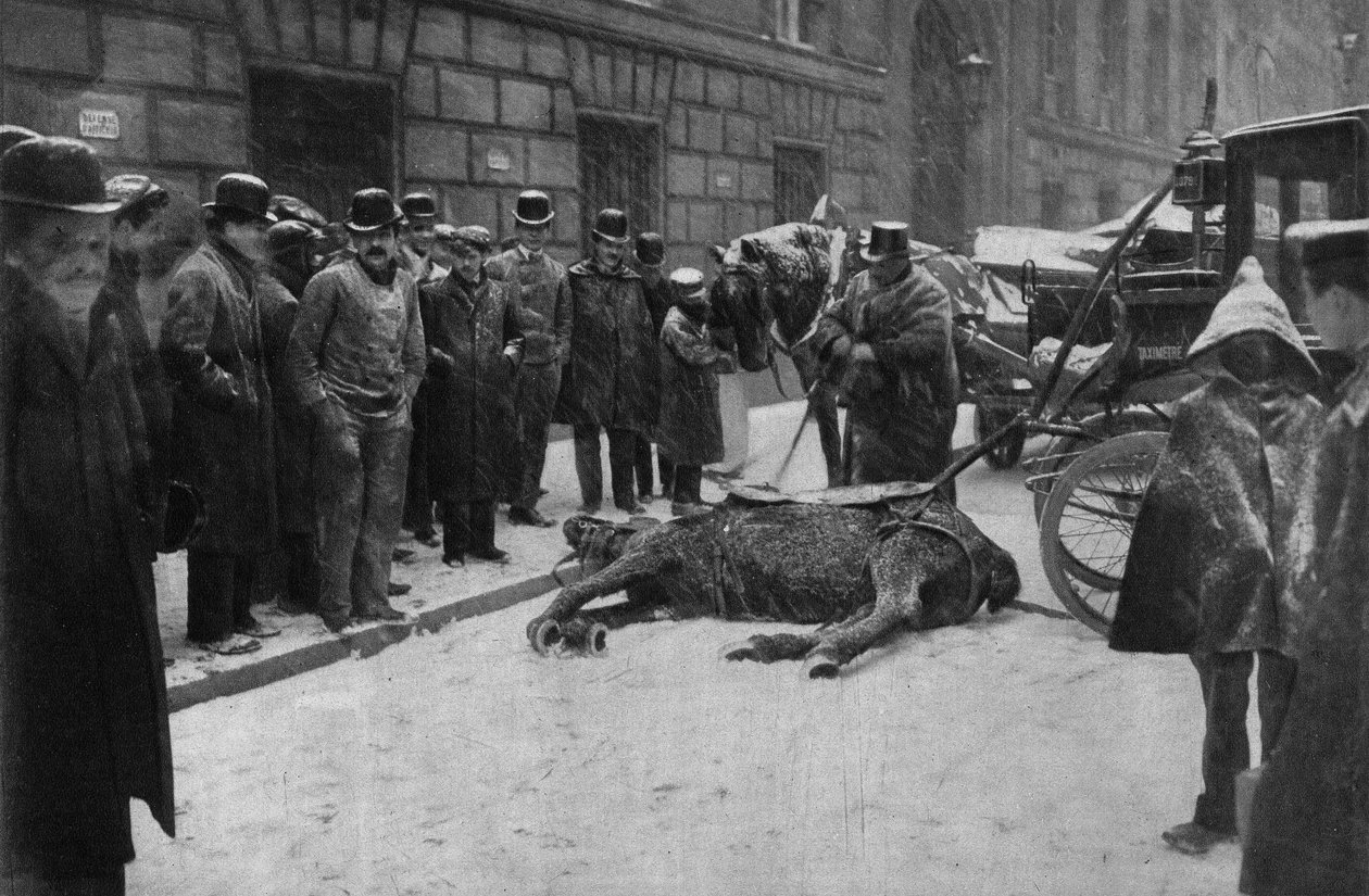 En koblingshests død i Paris
