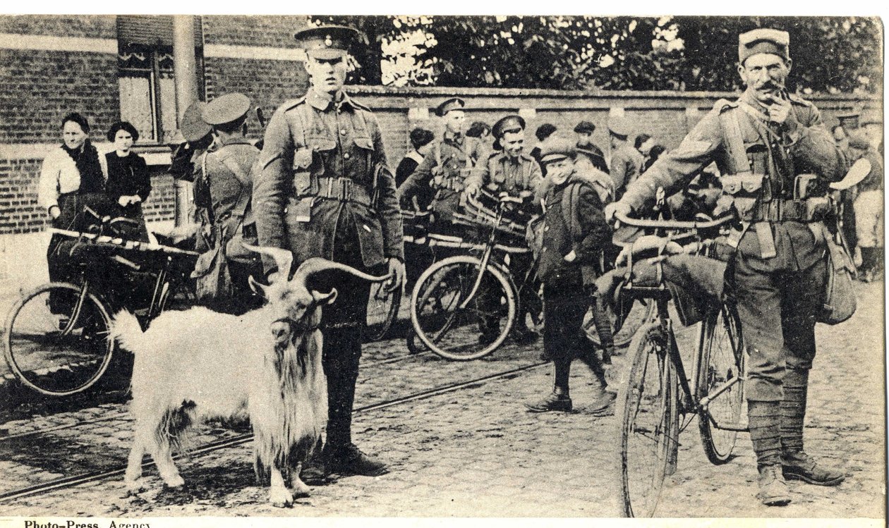 Gat: maskot for soldater under Første Verdenskrig (1914-1918). af Unknown photographer