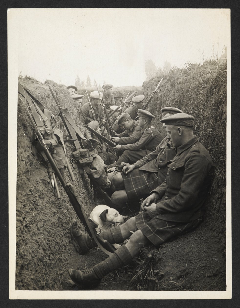 Highland Territorials i en skyttegrav [La Gorgue, Frankrig]. 5. august 1915. af Unknown photographer