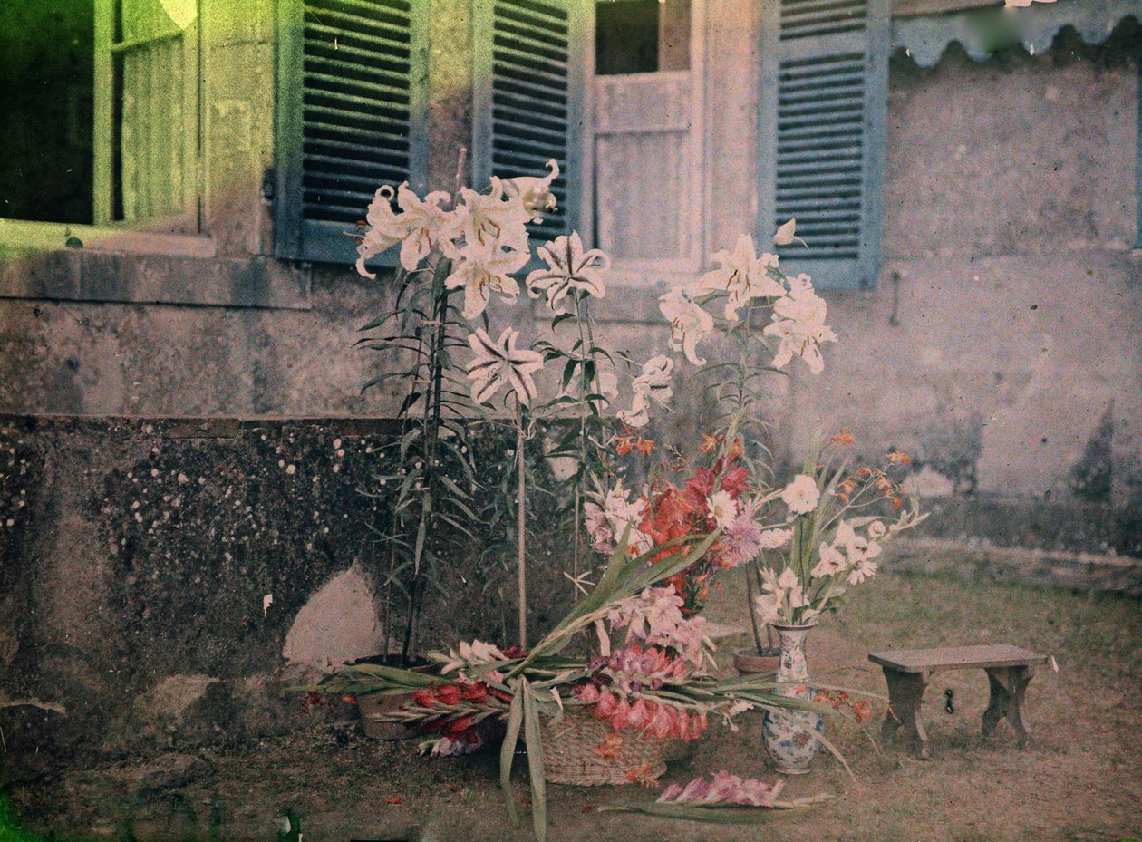 Fotografiets historie: Blomsterkomposition af Unknown photographer