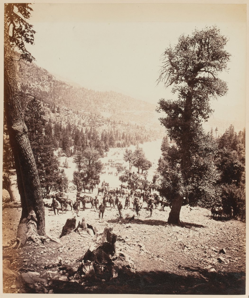 Indian Mountain Artillery batteri af Unknown photographer
