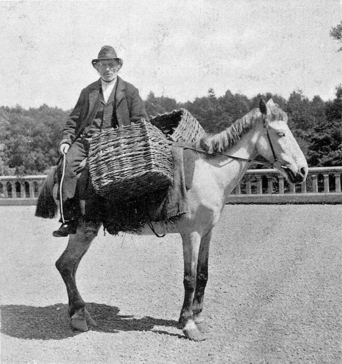 Irsk mand på sin hest (1800-tallet). af Unknown photographer