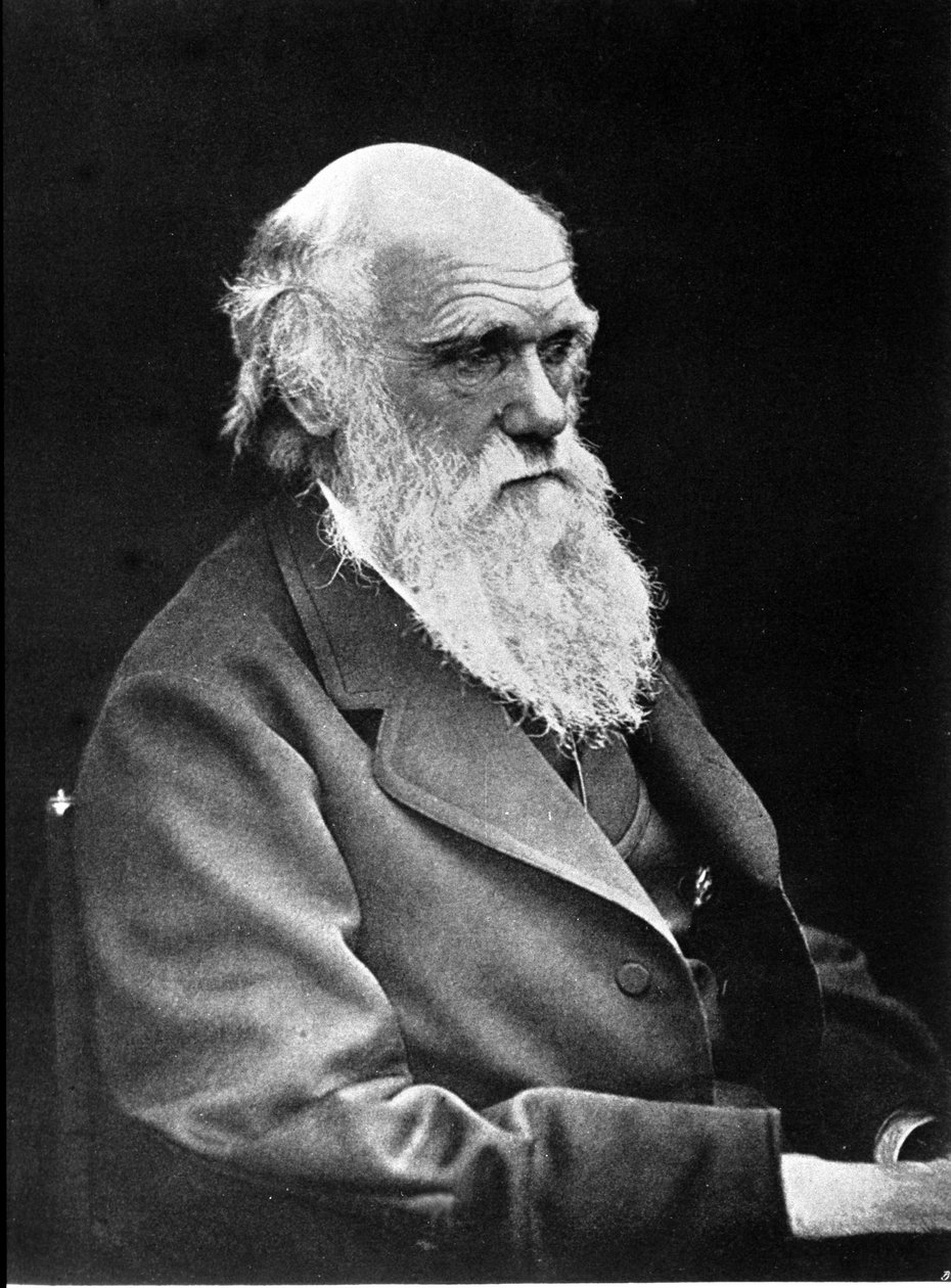 Fotografisk portræt af Charles Darwin (1809 - 1882), engelsk naturforsker. 1881 af Unknown photographer