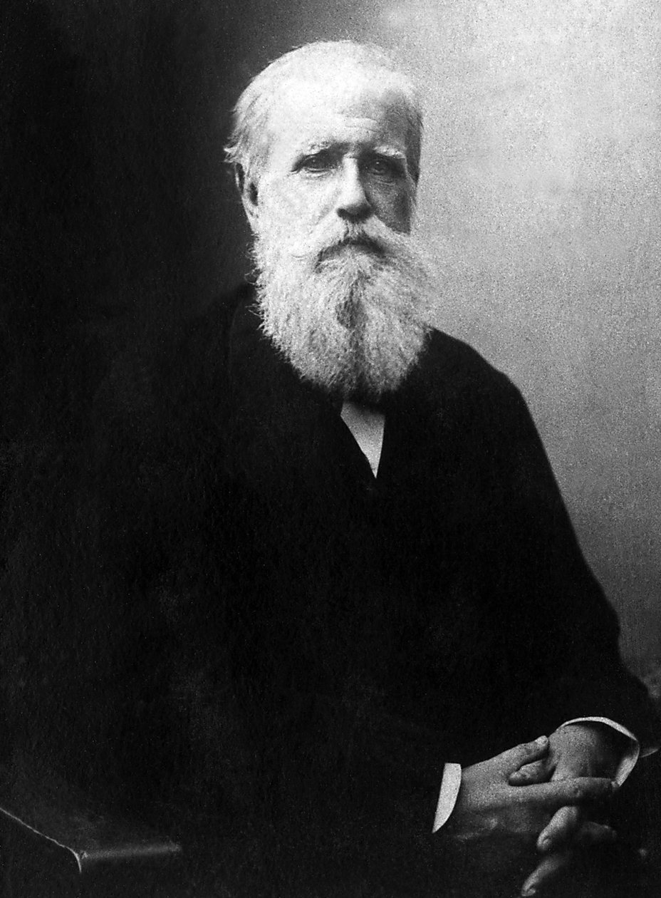 Portræt af Dom Pedro de Alcantara (Peter II) (1825-1891), kejser af Brasilien. af Unknown photographer