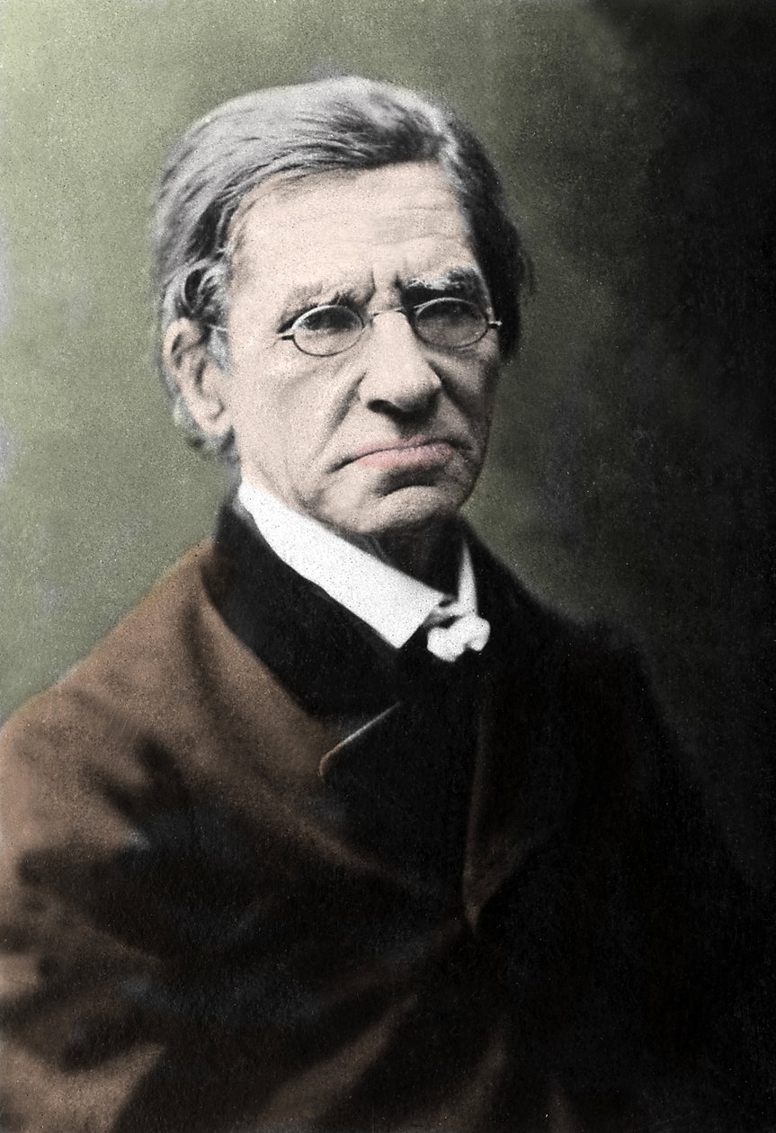 Portræt af Emile Littre (1801-1881), fransk filolog, læge og politiker. af Unknown photographer