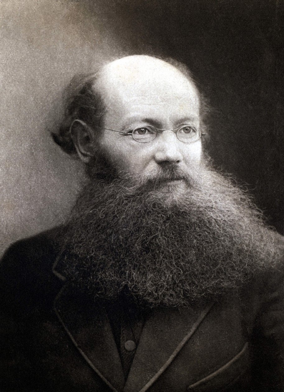 Portræt af prins Peter (Piotr) Alekseyevich Kropotkin (1842-1921), russisk revolutionær og anarkist. af Unknown photographer