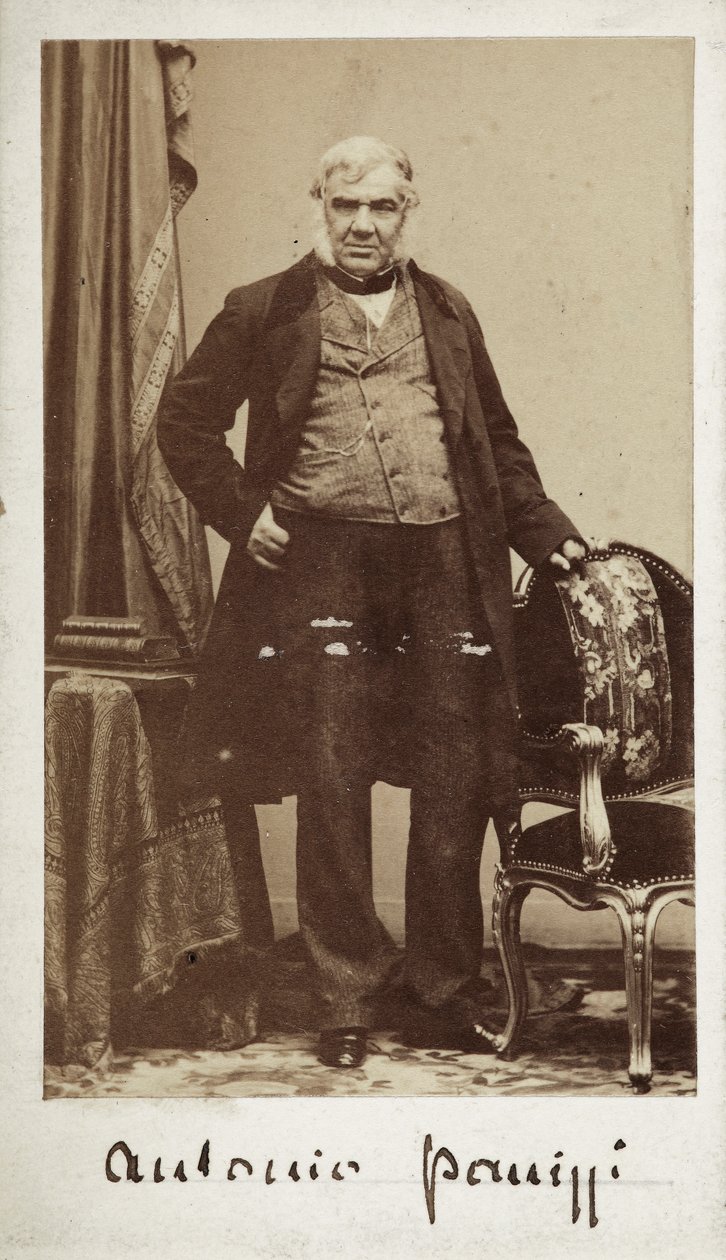 Portræt af senator Antonio Panizzi (1797-1879), direktør for British Museums bibliotek af Unknown photographer