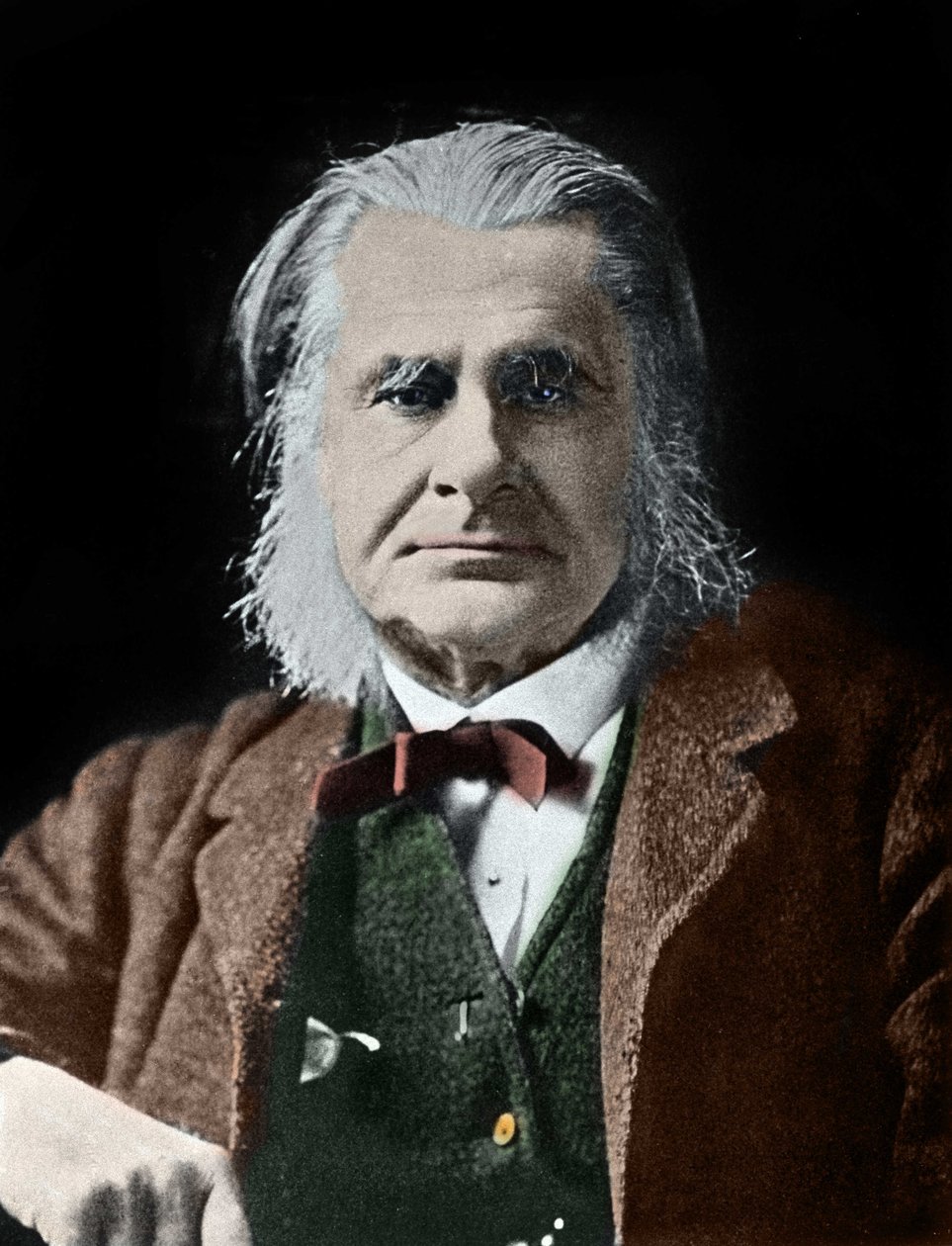 Portræt af Thomas Henry Huxley. Britisk biolog (1825-1895). af Unknown photographer