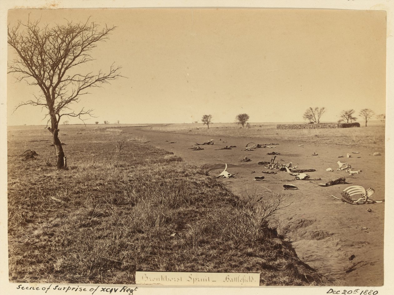 ?Overraskelsesscene for xciv-regimentet?, 1881 af Unknown
