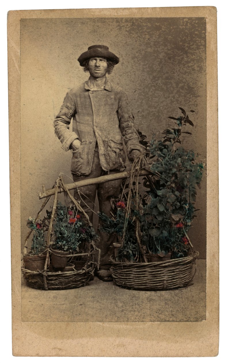 Venetianske kostumer og masker: en kræmmer af planter af Unknown photographer