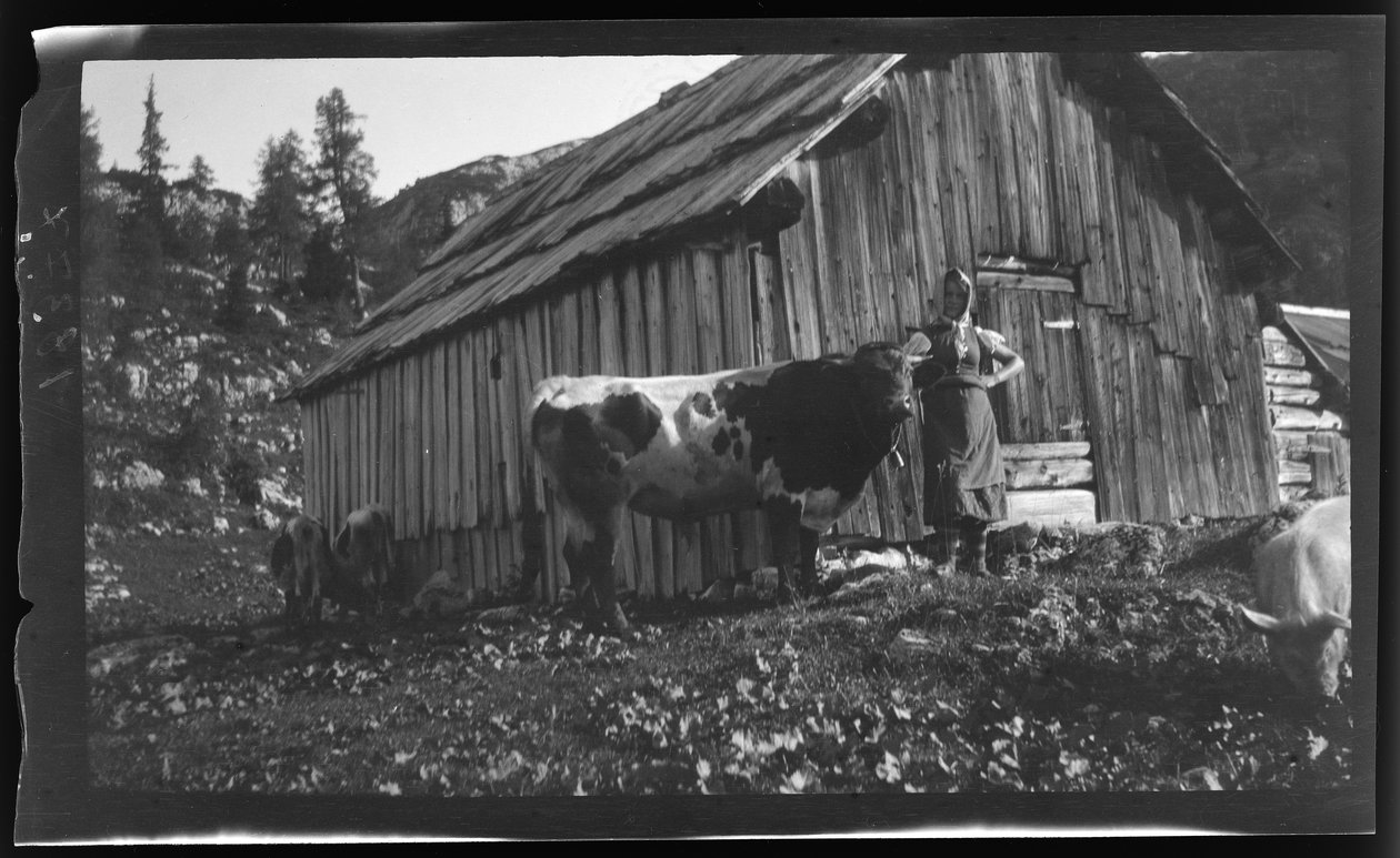 Vorderbachalm (bjergsæde) med alpehytte nær Goessl ved Grundl-søen af Unknown photographer