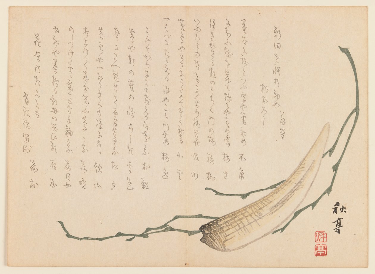 Tang og skaldyr (træbloktryk) af Uragami Gyokudo