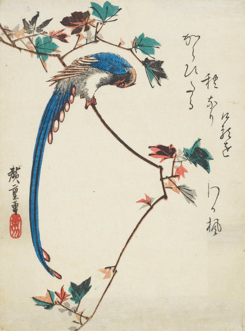 Blå hage på ahorngren af Utagawa Hiroshige