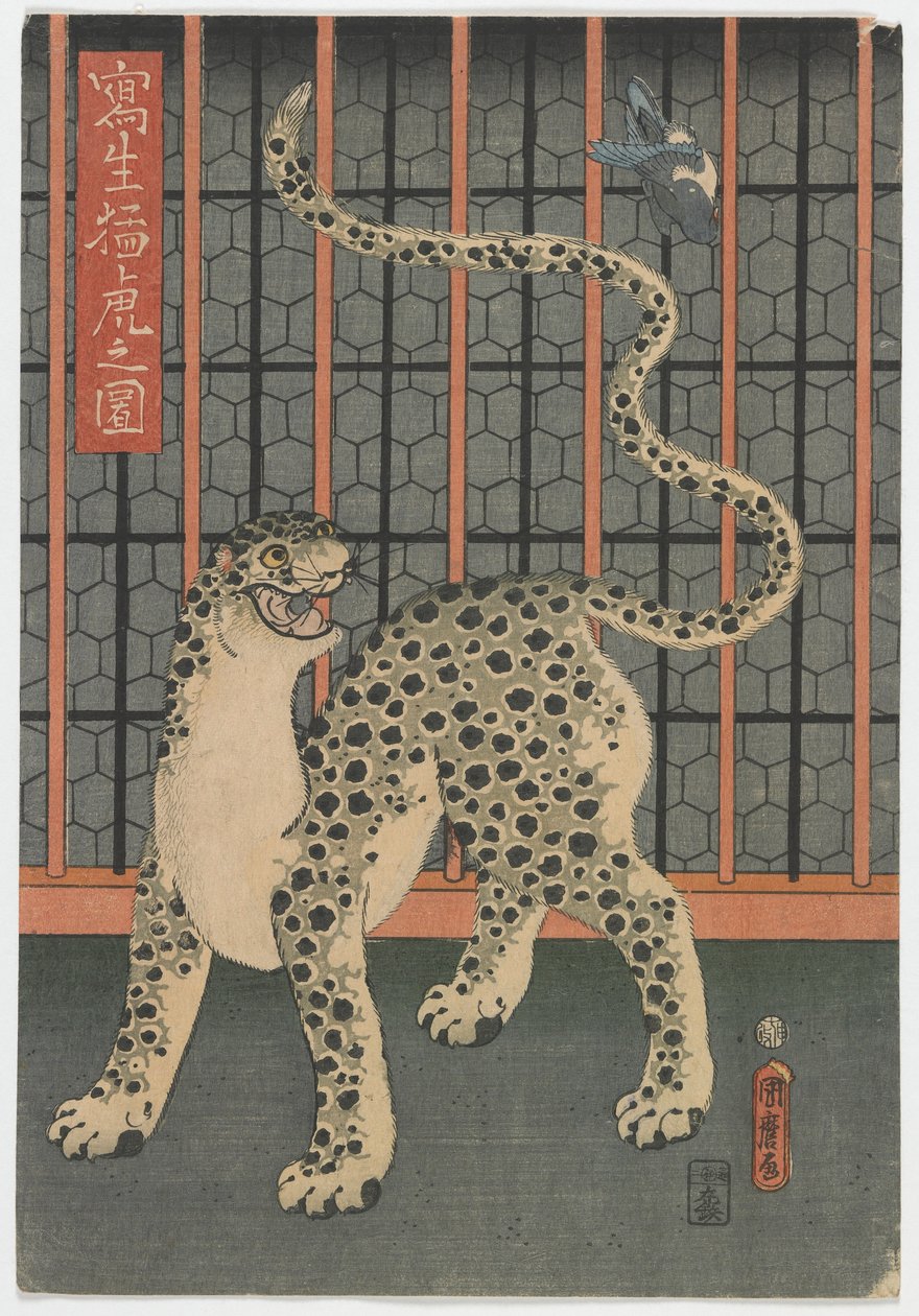 A Leopard Drawn from Life, Edo-perioden, 1860 (træbloktryk i farver) af Utagawa Kunimaro