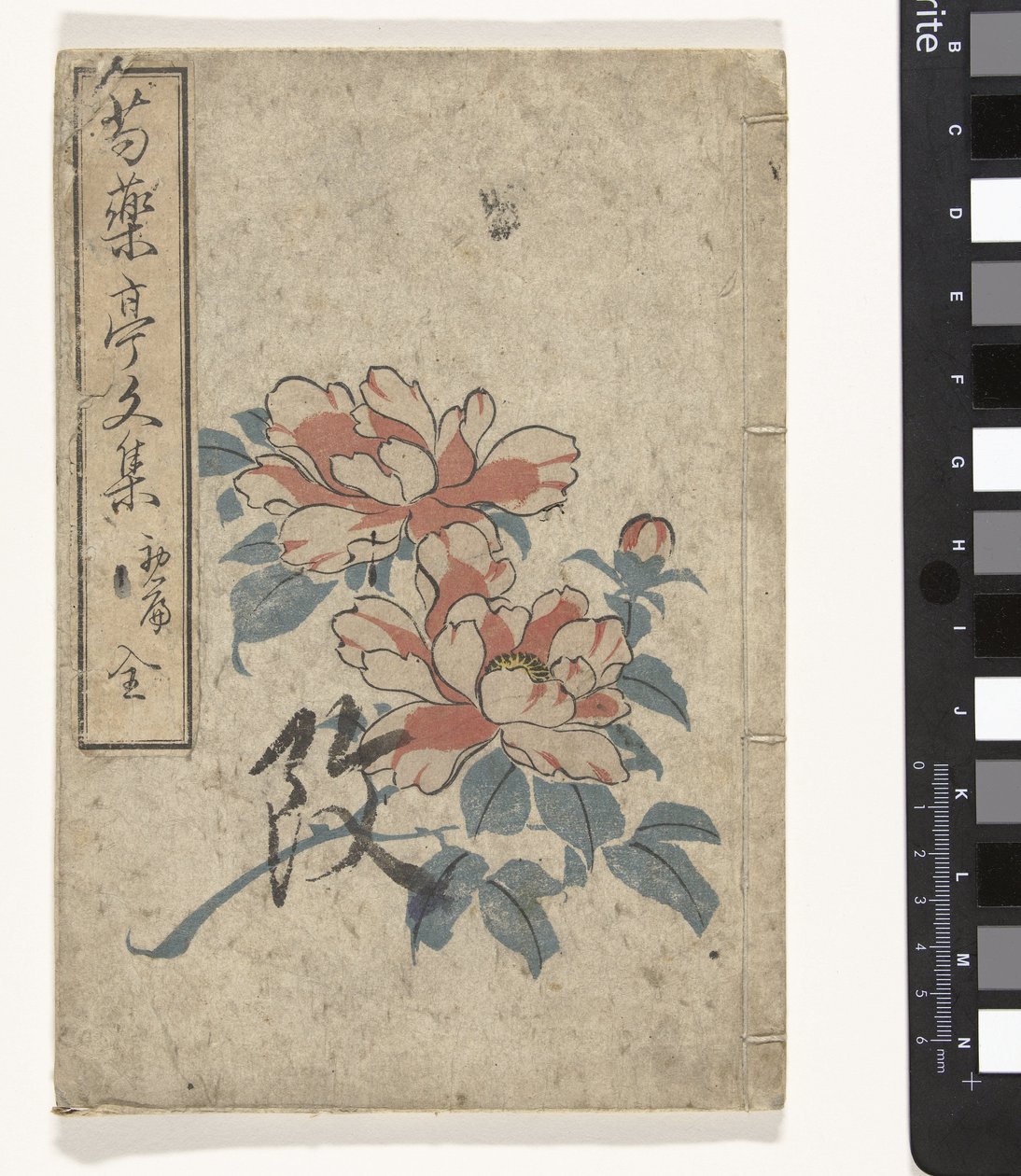 Antologi af pæoner Shukuyakutei bunshu (titel på objekt) af Utagawa (school of)
