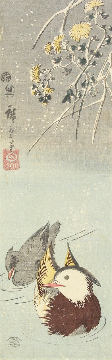 (krysantemum og mandarinænder), februar 1854 af Utagawa Hiroshige
