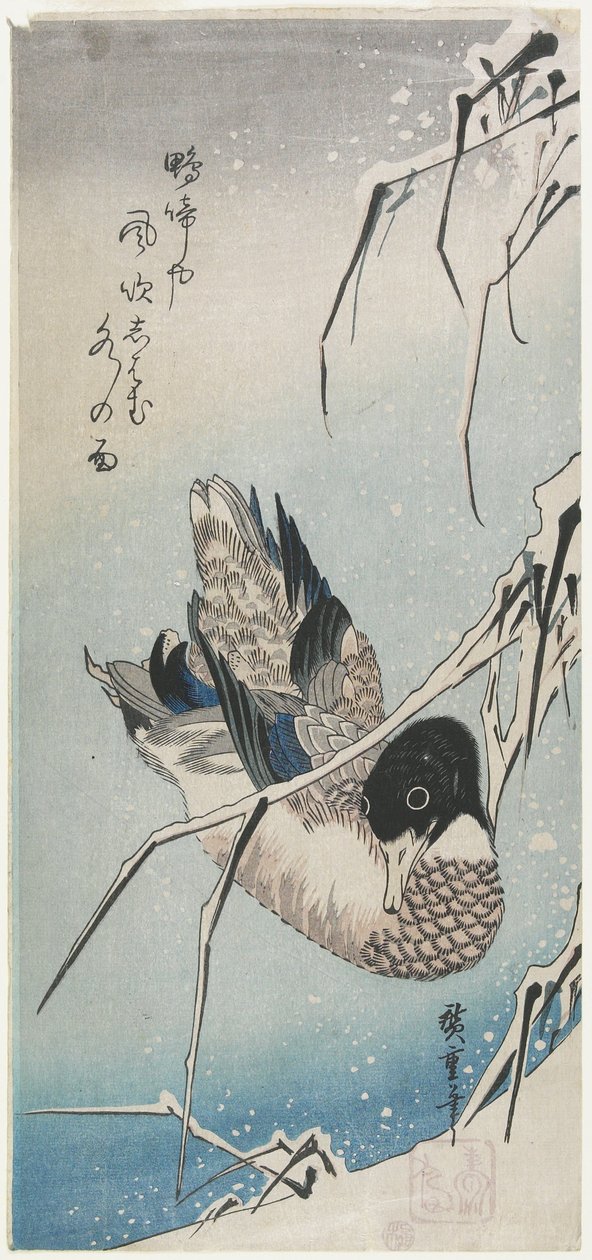 (Duck and Snowy Reeds), begyndelsen af 1830