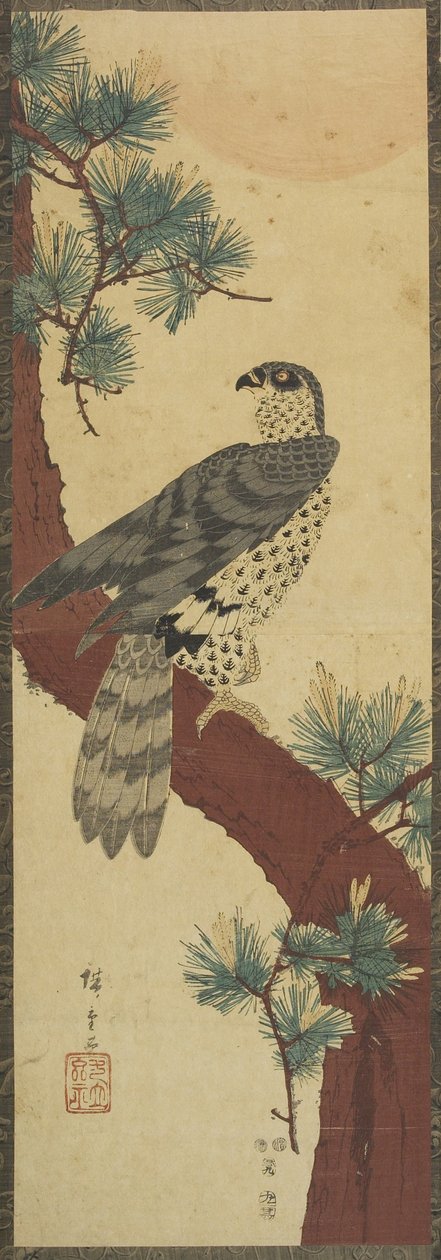 (Hawk on Pine Branch, Summer), september 1853 af Utagawa Hiroshige