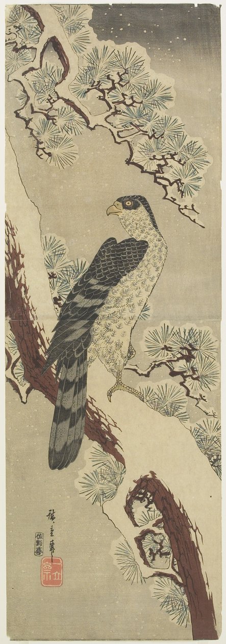 (Hawk on Pine Branch, Winter), begyndelsen af det 19. århundrede af Utagawa Hiroshige