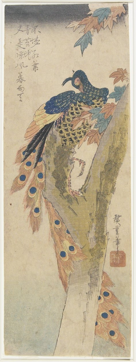 (Peacock on Maple Tree), begyndelsen af det 19. århundrede af Utagawa Hiroshige