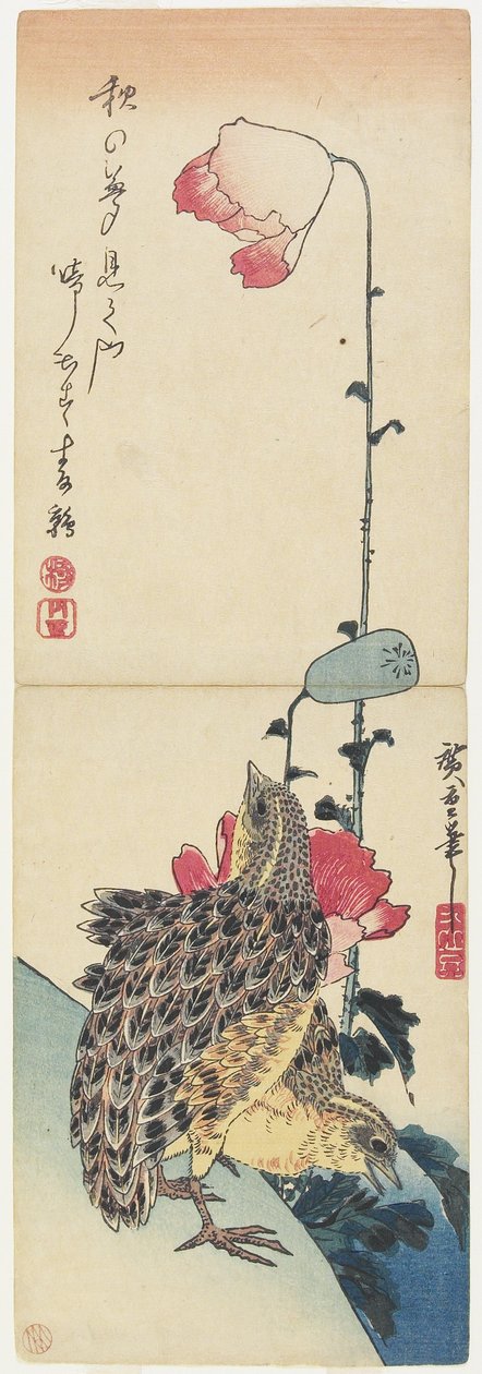 (Vagtler og valmuer), 1830-1858 af Utagawa Hiroshige