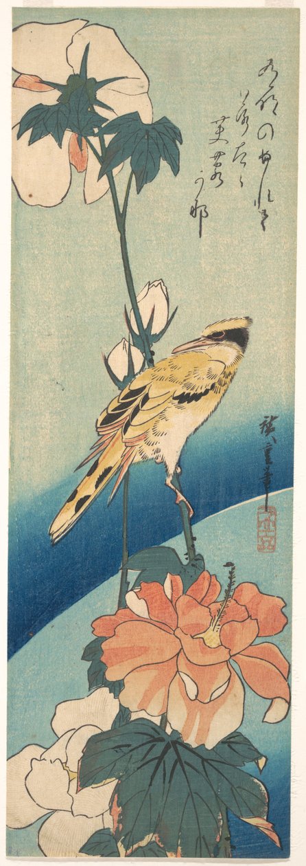 Ein Schwarzrückenpirol auf einem Hibiskusstängel af Utagawa Hiroshige