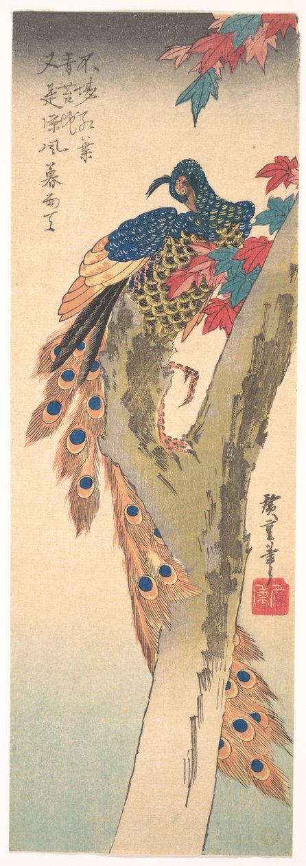 En påfugl, der sidder på et ahorntræ af Utagawa Hiroshige