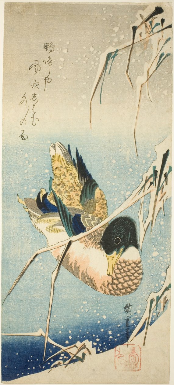 En vildand, der svømmer ved en snedækket bred under snefyldte rør af Utagawa Hiroshige
