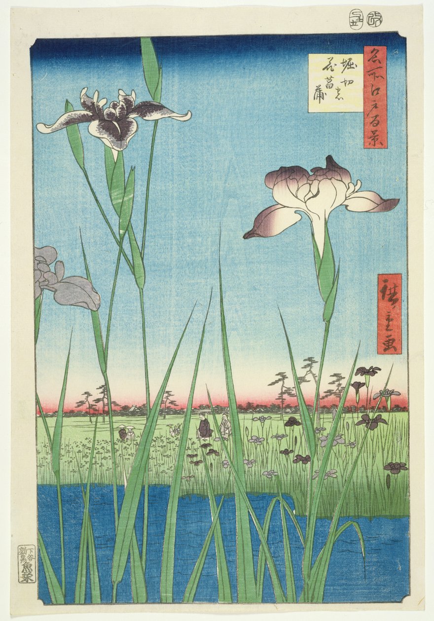 BM.Cat.440 Irises at Horikin, nr. 56 i serien "100 Views of Edo", ("Meisho Edo hyakkei"), udg. 1857, (farvetryk i træsnit) af Utagawa Hiroshige