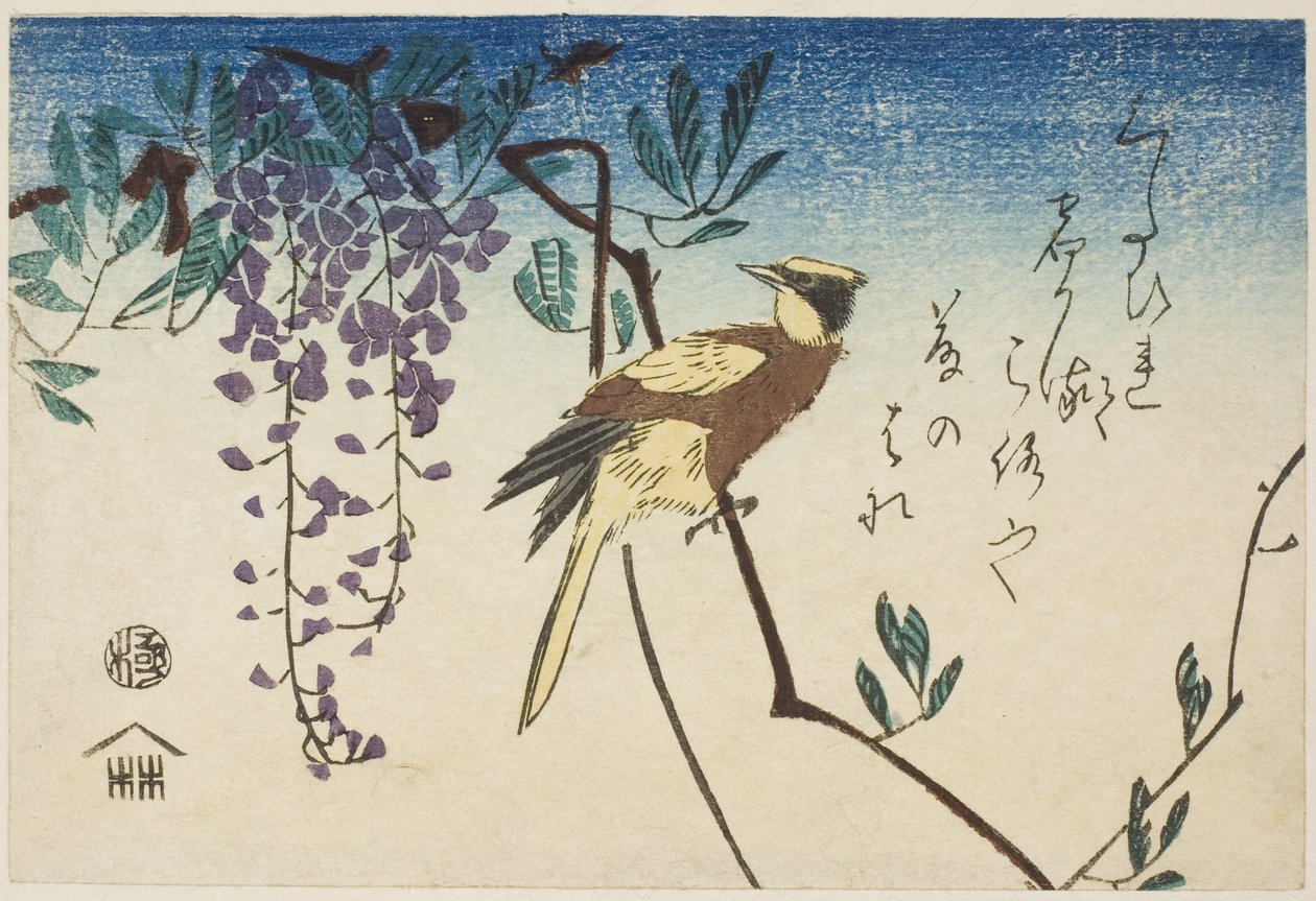 Sortnavet oriole og blåregn af Utagawa Hiroshige