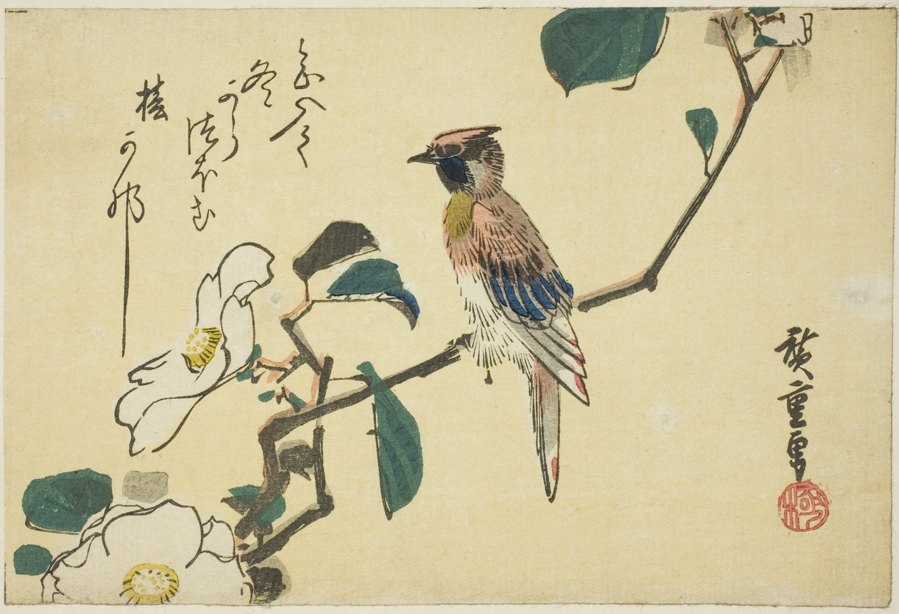 Sortnavet oriole på kameliagren af Utagawa Hiroshige