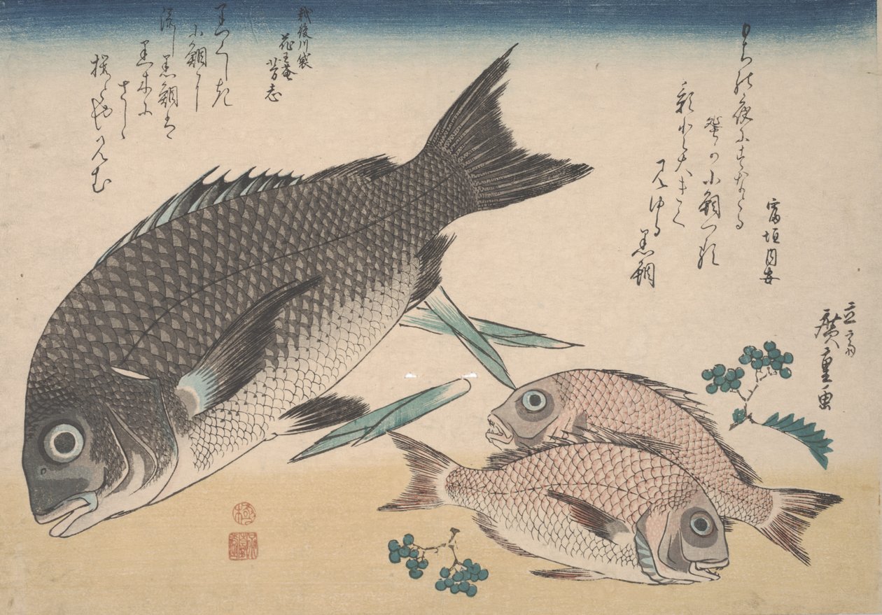 Sortebrasen, småbrasen, aspargesskud og Sansho-peber, ca. 1830 af Utagawa Hiroshige