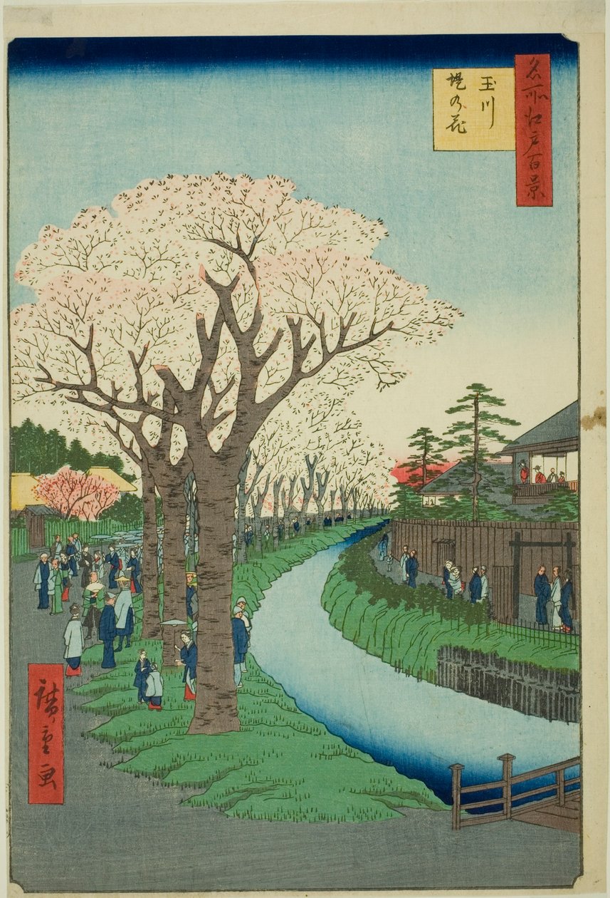 Bosso MS sound te tamari ver billedversion k overflade t (Tamagawa Tsutsumi no Hana), fra serien "Ridge d re d fa net view ws f Edo (One Hundred Famous Views of Edo) )" af Utagawa Hiroshige