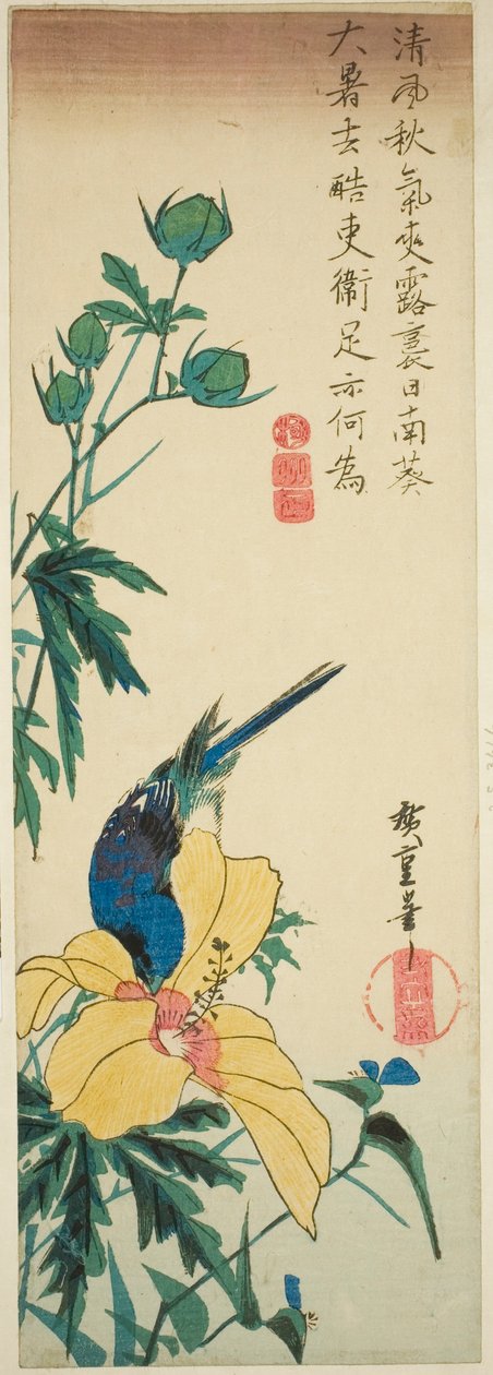 Blå fugl og hibiscus af Utagawa Hiroshige