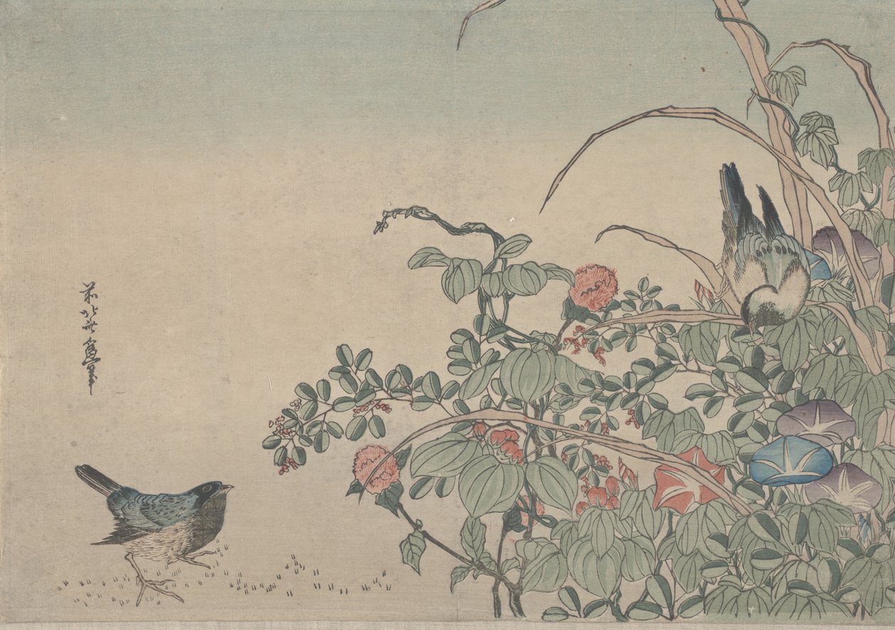 Blåfugle med morgenfruer og Lespedeza, ca.1833 af Utagawa Hiroshige